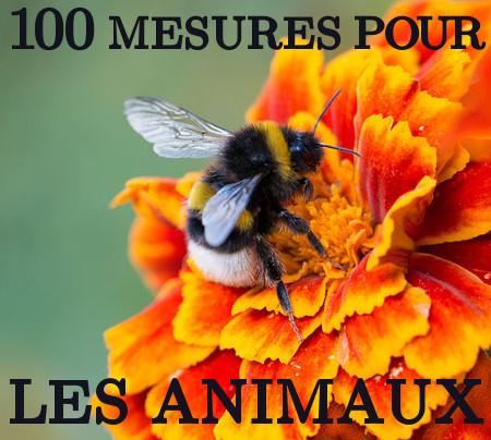 Lien vers la pages des 100 mesures pour les animaux