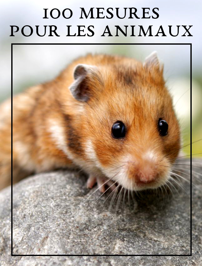 Lien vers la pages des 100 mesures pour les animaux