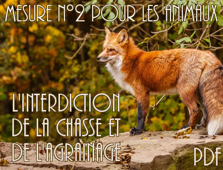 Télécharger la mesure n°2 sur l'interdiction de la chasse en PDF