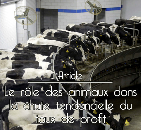 Lien vers l'article : Crise du capitalisme et intensification de la production - Le rôle des animaux dans la chute de la crise tendancielle du taux de profit