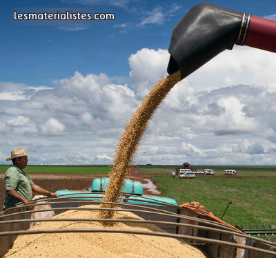 Production de soja au Brésil