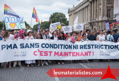 Revendication de la Procréation Médicalement Assisté lors de la Gay Pride 2017