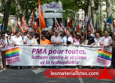 Revendication de la Procréation Médicalement Assisté lors de la Gay Pride 2017