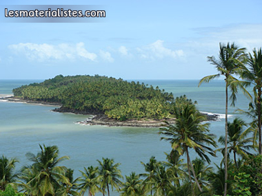 Nature Guyane