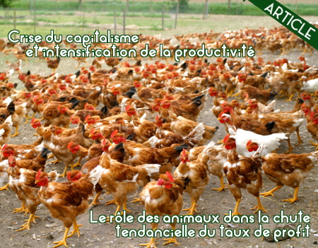 Lien vers l'article : Crise du capitalisme et intensification de la production - Le rôle des animaux dans la chute de la crise tendancielle du taux de profit