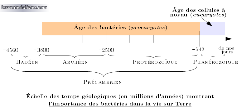 Echelle des temps géologiques